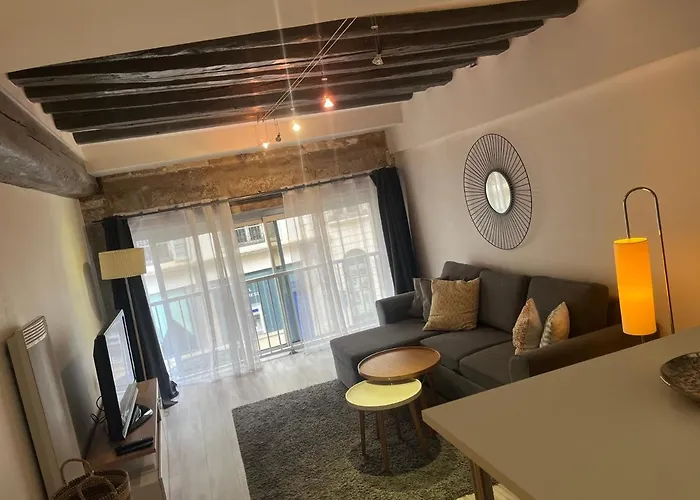 Appartement Le Jasmin Spacieux Hyper Centre /netflix